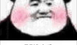 吃瓜表情包怎么回复女孩子呢,幽默回应女孩子的创意技巧