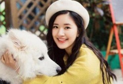 娱乐吃瓜赵露思,娱乐圈的甜蜜瓜果，甜蜜与争议并存